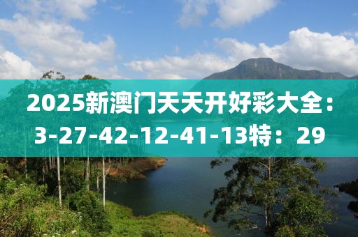 2025新澳門(mén)天天開(kāi)好彩大全：3-27-42-12-41-13特：29