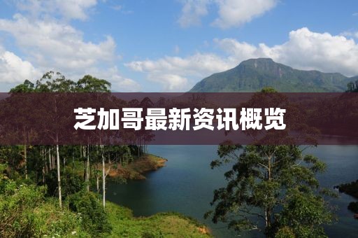 芝加哥最新資訊概覽