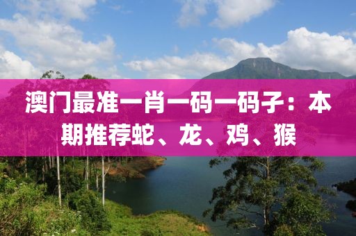 澳門(mén)最準(zhǔn)一肖一碼一碼孑：本期推薦蛇、龍、雞、猴