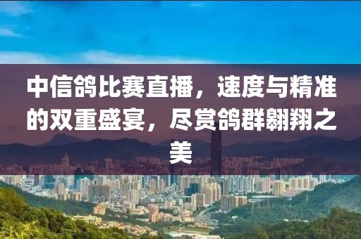 中信鴿比賽直播，速度與精準(zhǔn)的雙重盛宴，盡賞鴿群翱翔之美