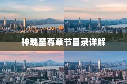 神魂至尊章節(jié)目錄詳解