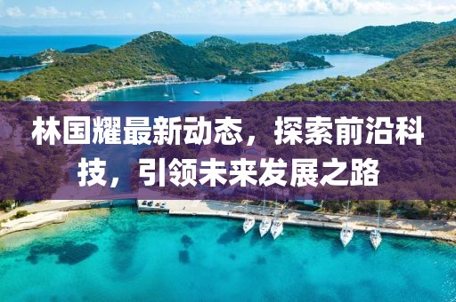 林國(guó)耀最新動(dòng)態(tài)，探索前沿科技，引領(lǐng)未來(lái)發(fā)展之路