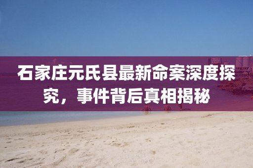 石家莊元氏縣最新命案深度探究，事件背后真相揭秘