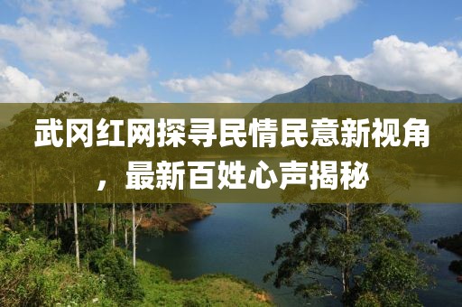 武岡紅網(wǎng)探尋民情民意新視角，最新百姓心聲揭秘