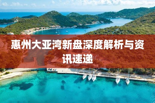 惠州大亞灣新盤深度解析與資訊速遞