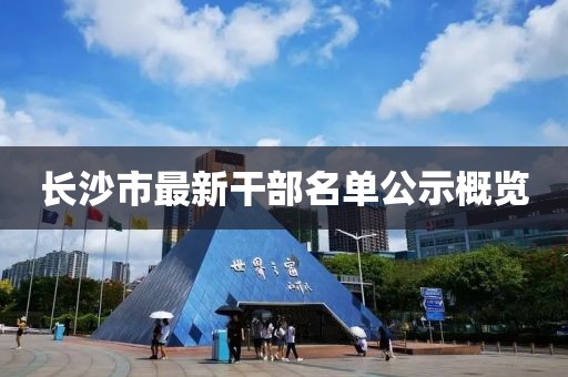 長沙市最新干部名單公示概覽