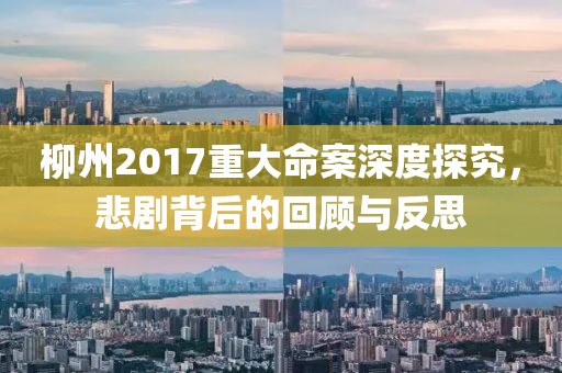 柳州2017重大命案深度探究，悲劇背后的回顧與反思
