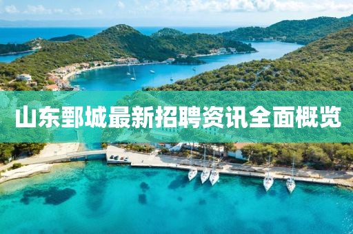 山東鄄城最新招聘資訊全面概覽