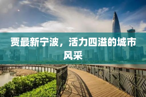 賈最新寧波，活力四溢的城市風(fēng)采