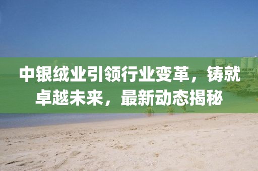 中銀絨業(yè)引領行業(yè)變革，鑄就卓越未來，最新動態(tài)揭秘