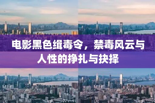 電影黑色緝毒令，禁毒風(fēng)云與人性的掙扎與抉擇