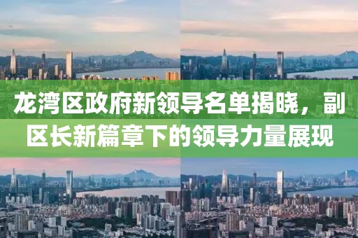 龍灣區政府新領導名單揭曉，副區長新篇章下的領導力量展現