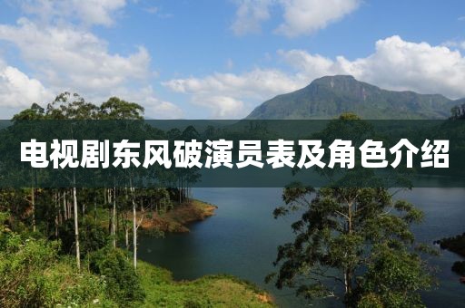 電視劇東風(fēng)破演員表及角色介紹