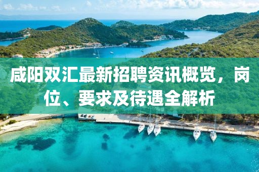 咸陽雙匯最新招聘資訊概覽，崗位、要求及待遇全解析