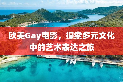 歐美Gay電影，探索多元文化中的藝術(shù)表達(dá)之旅