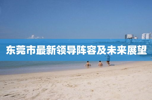 東莞市最新領導陣容及未來展望