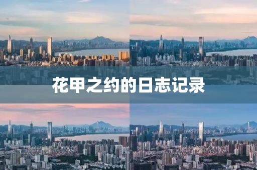 花甲之約的日志記錄