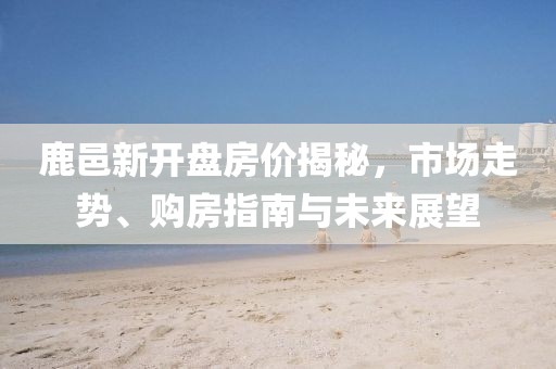 鹿邑新開盤房價揭秘，市場走勢、購房指南與未來展望