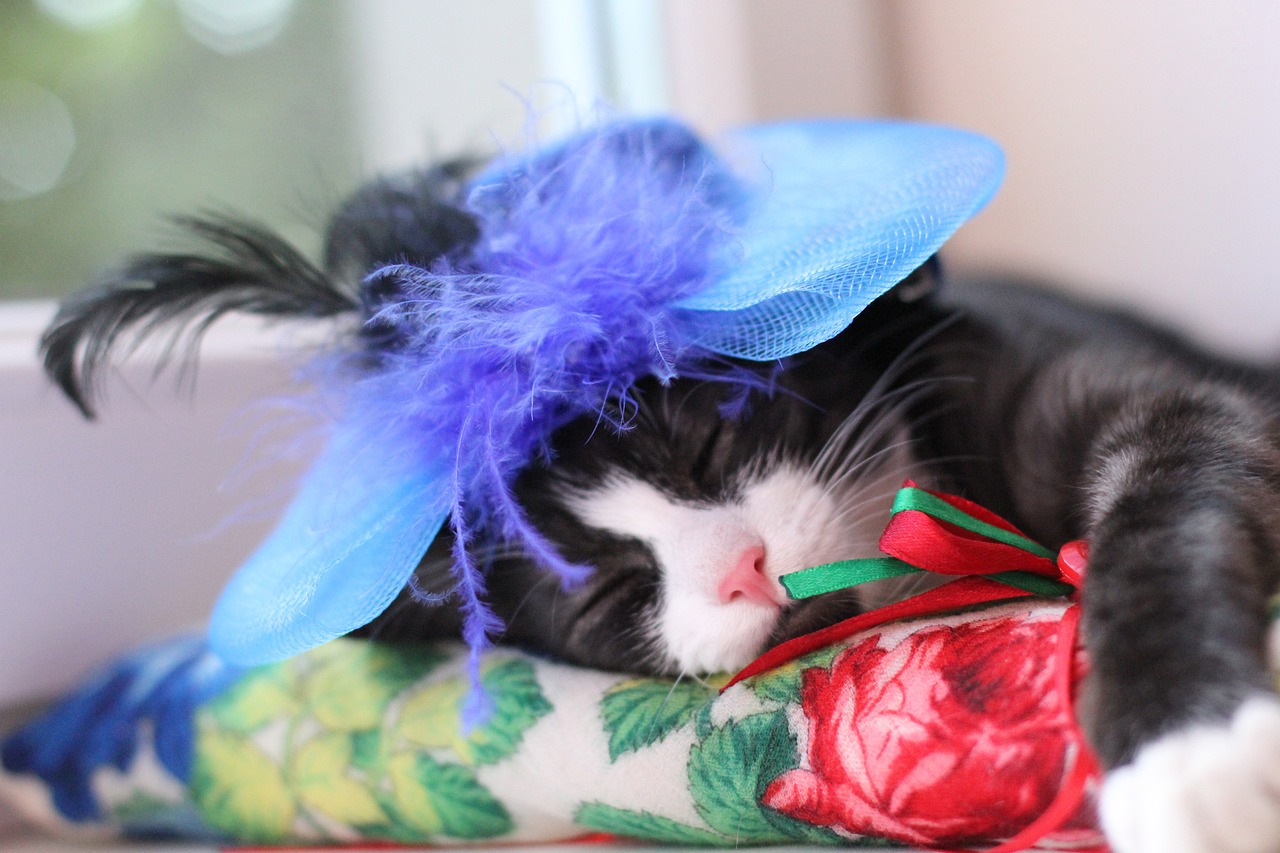 新澳門最精準(zhǔn)正最精準(zhǔn)：猴、兔、豬、猴