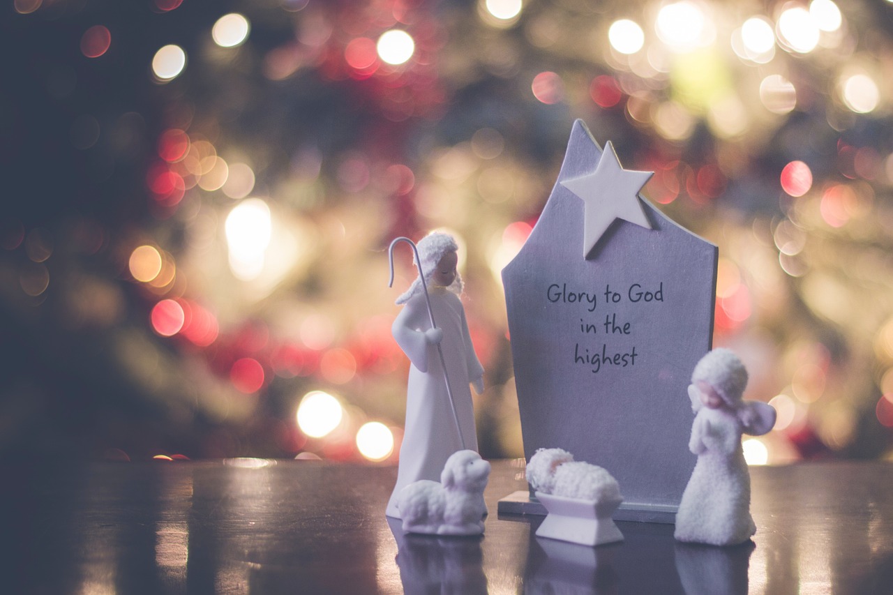 學(xué)霸女明星，知識之光照亮星途