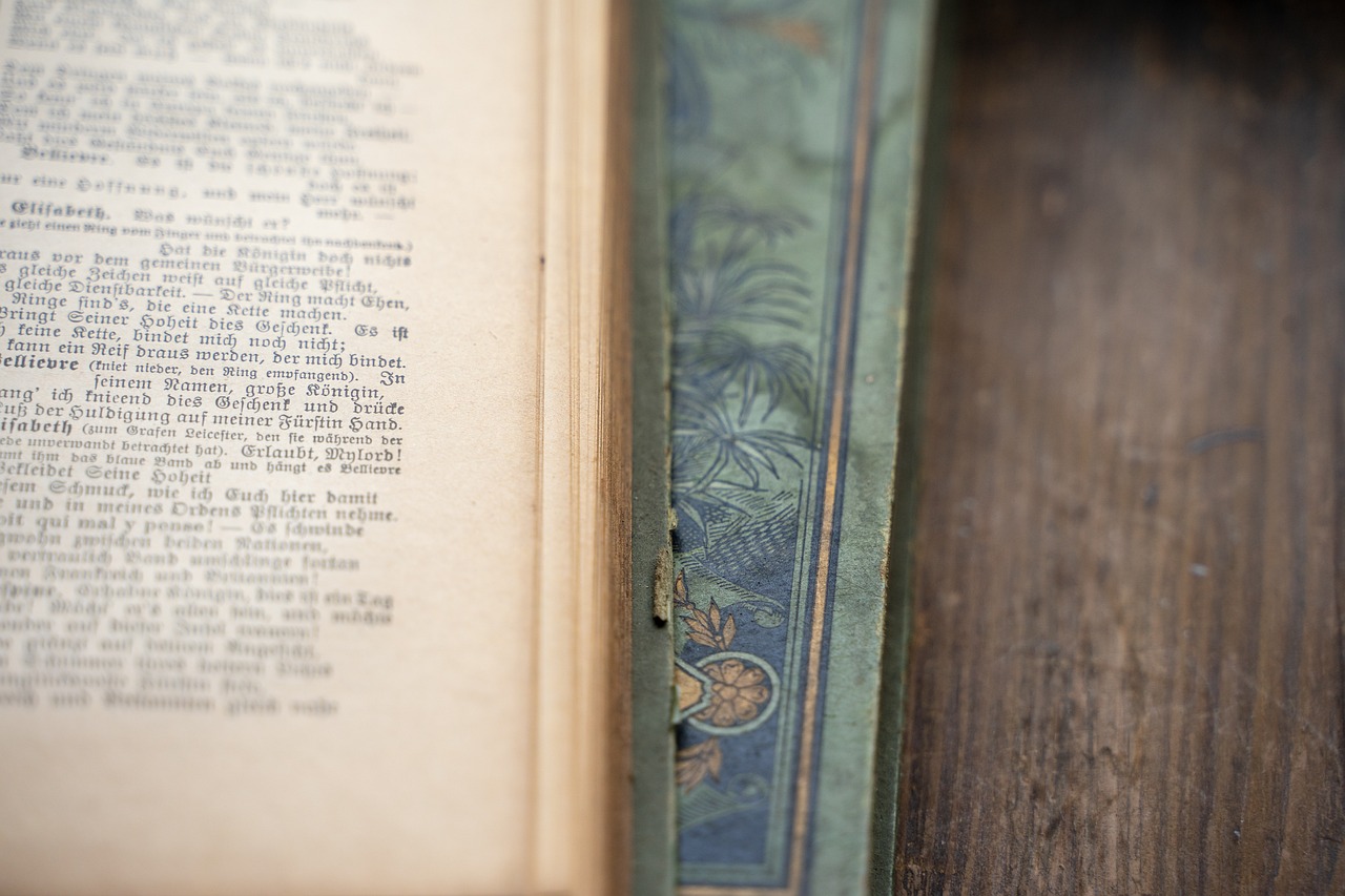 新澳門(mén)歷史開(kāi)獎(jiǎng)記錄查詢(xún)方法：49-40-29-19-42-48T：7