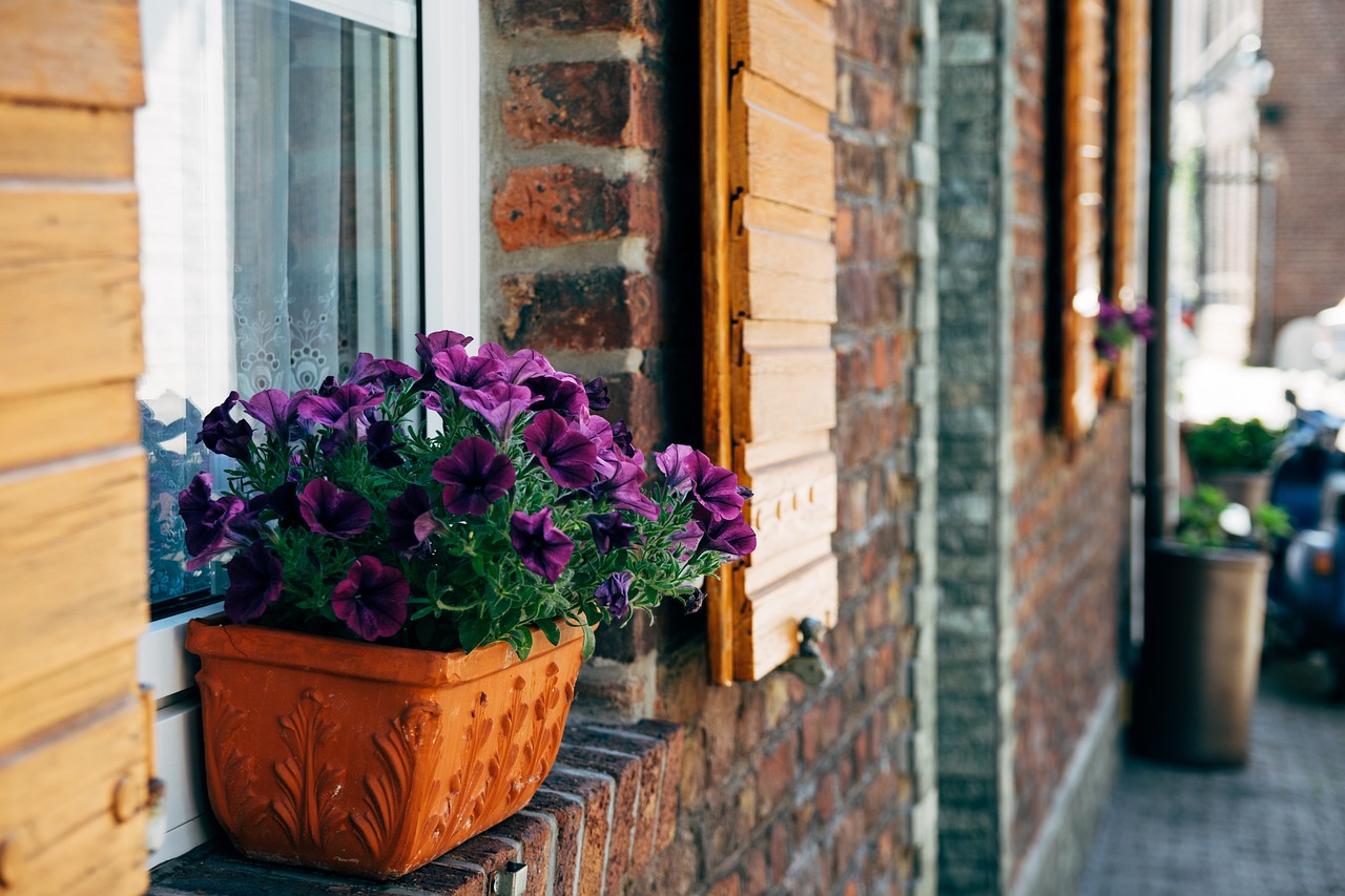 南寧房地產(chǎn)調(diào)控最新動(dòng)態(tài)揭秘，政策調(diào)整與市場走勢關(guān)注焦點(diǎn)