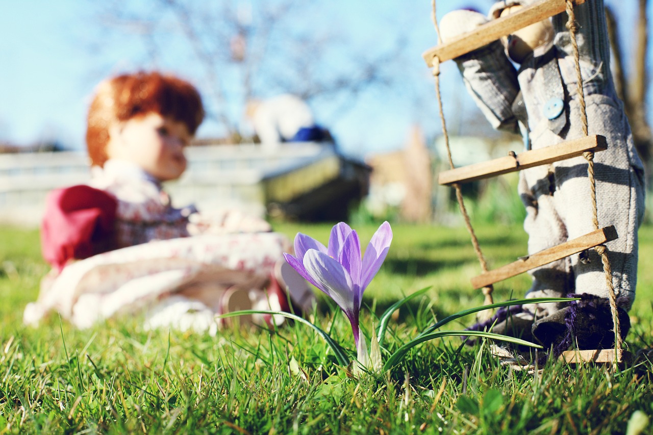 電影含苞待放，青春之花的綻放之旅