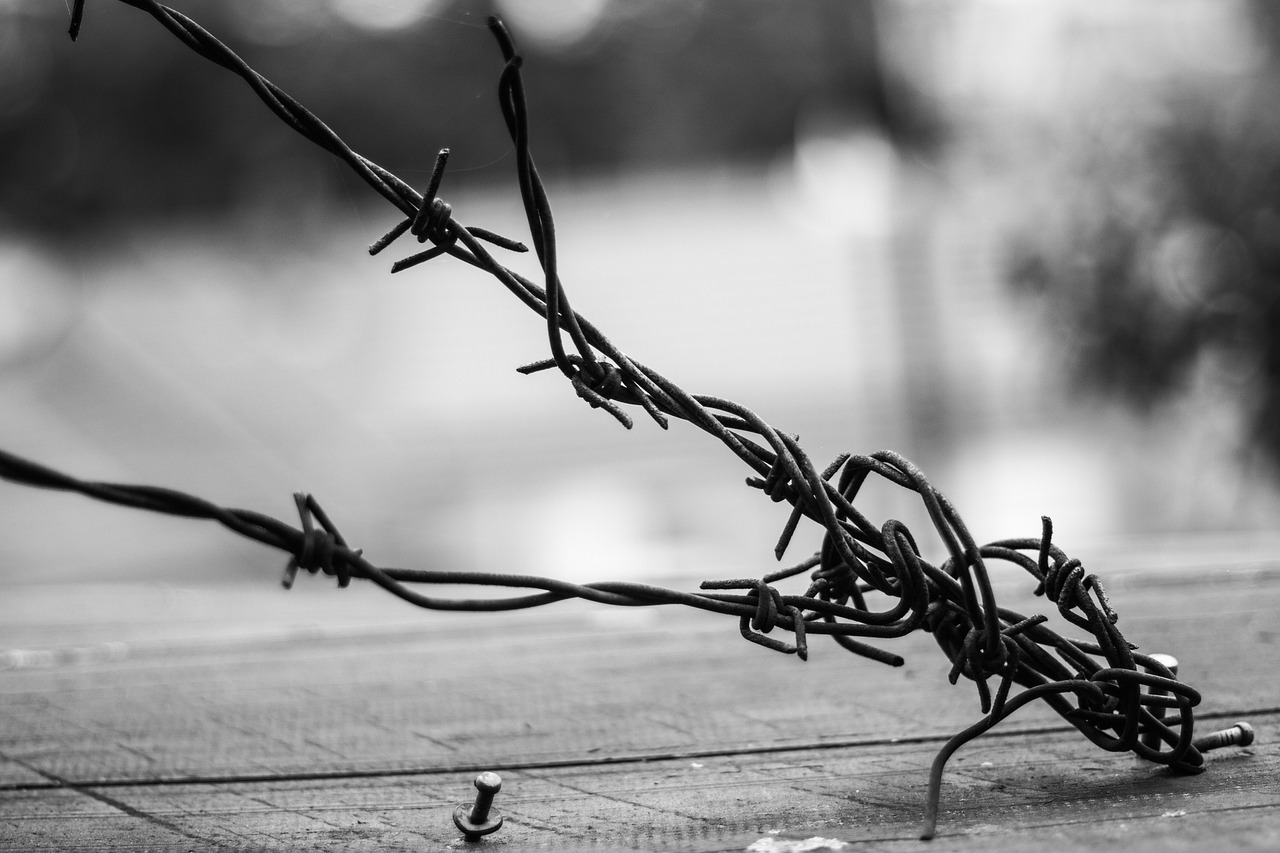 探索電影藝術(shù)，銳利之刃——刺電影