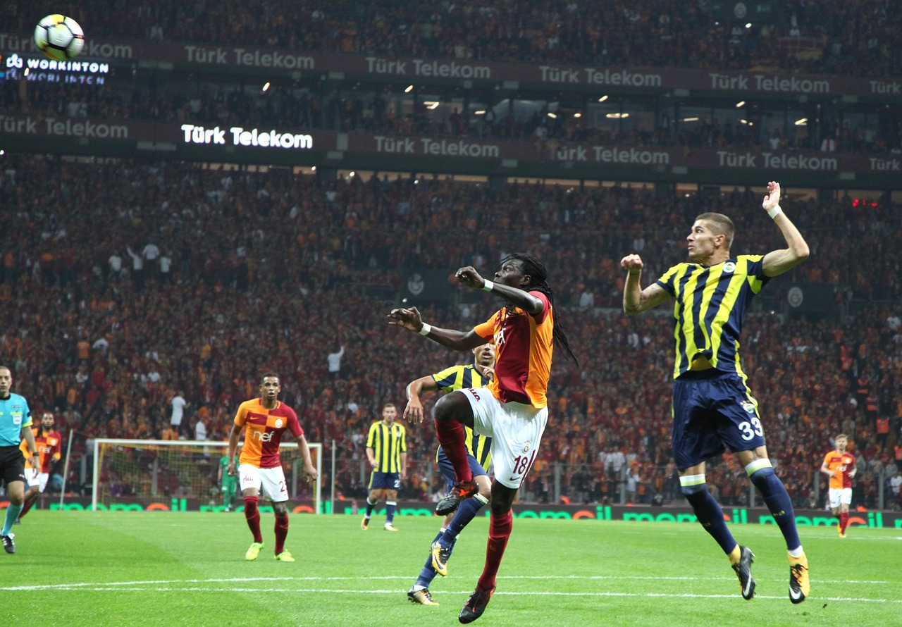 東莞羽毛球比賽的激情與榮耀時刻