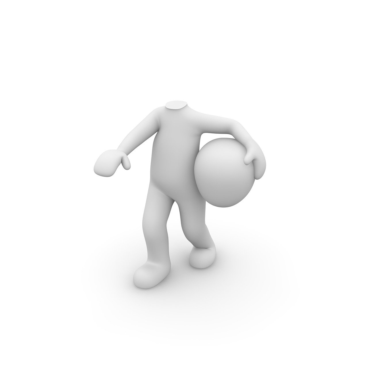 狐貍最新動態(tài)，探索神秘世界中的微妙變化