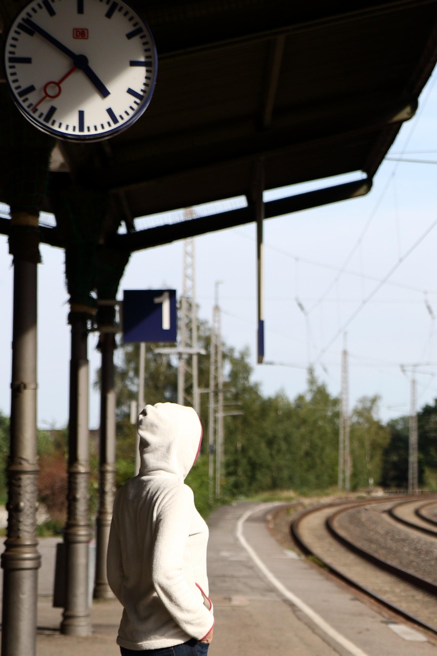 東莞R1線最新動(dòng)態(tài)，持續(xù)推動(dòng)軌道交通發(fā)展的最新進(jìn)展