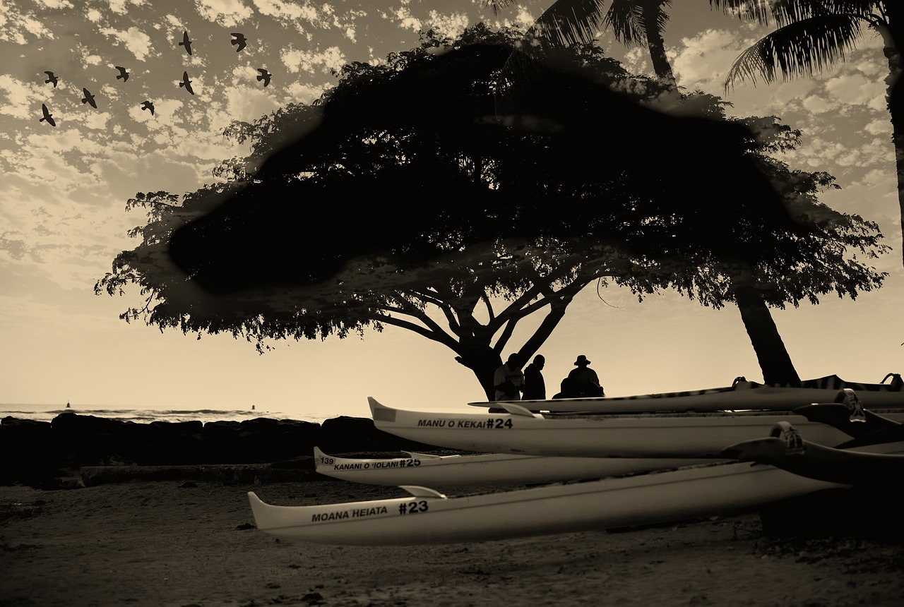 波蘭電視劇，探索與賞析之旅