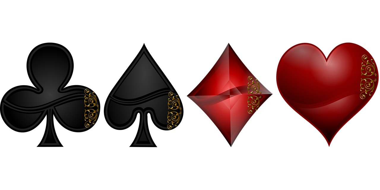 張芝芝的最新動態與成就概覽