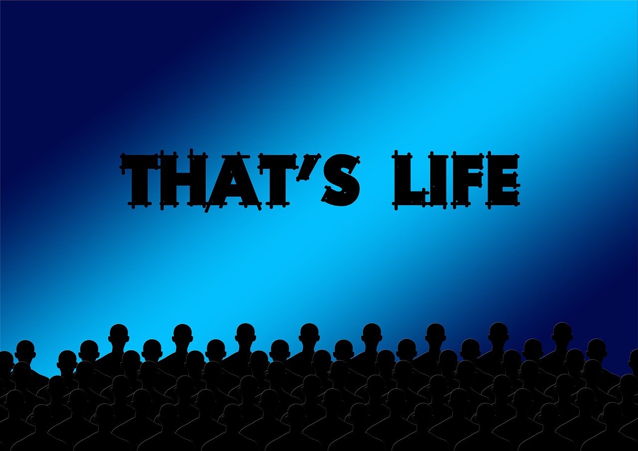 歐美電影院,全球影視文化的體驗之窗