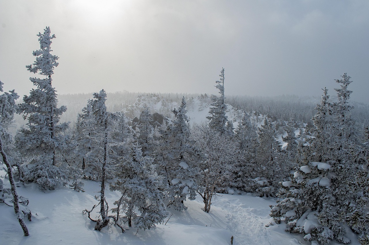 榮成降雪實(shí)況，冬日畫卷展現(xiàn)美麗景色