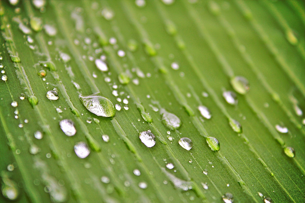 最新外網(wǎng)資訊概覽，掌握全球信息動(dòng)態(tài)