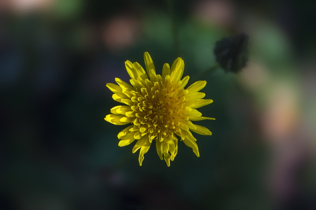 惠東厚園最新動(dòng)態(tài)更新，最新資訊報(bào)道