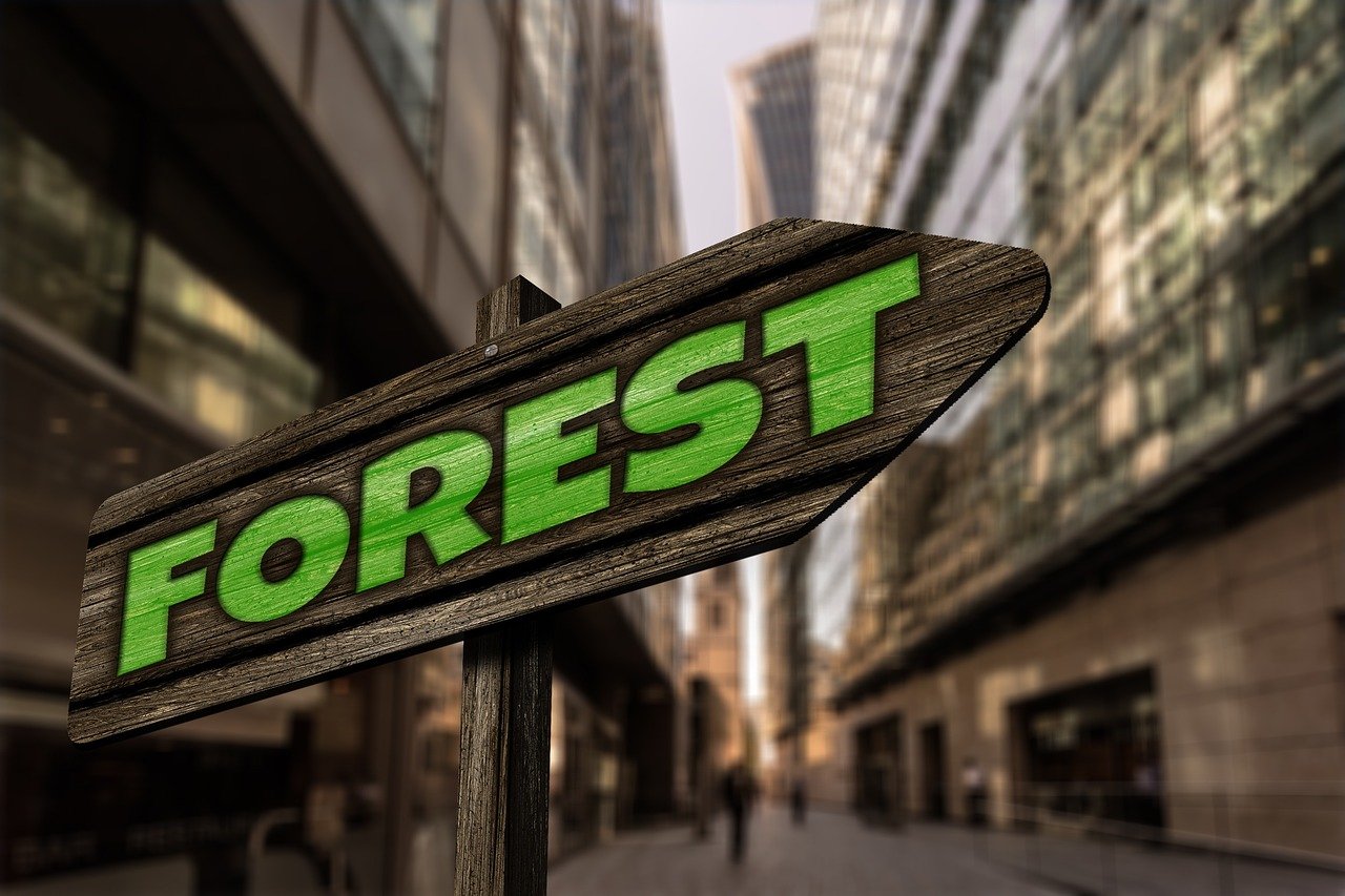 體彩最新開(kāi)獎(jiǎng)信息揭秘，彩票世界的驚喜與期待