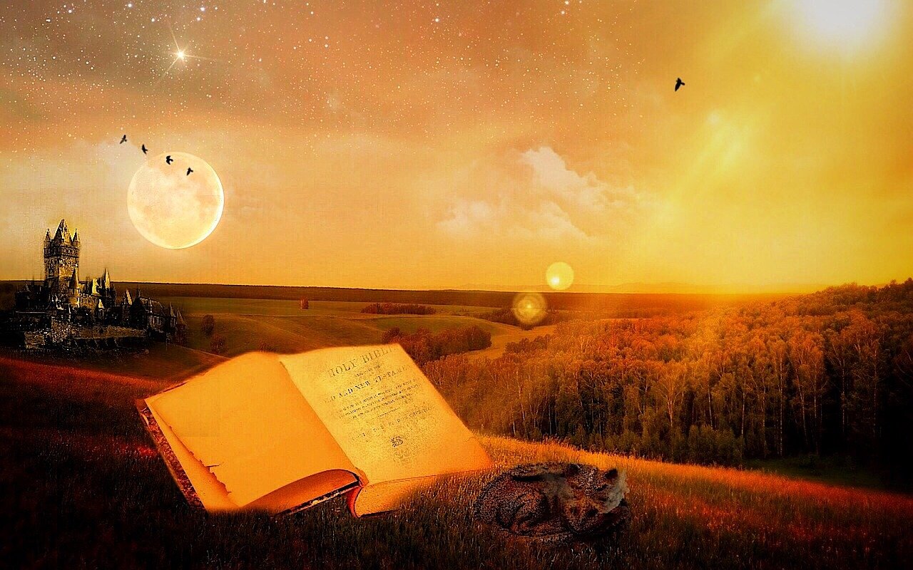 探尋夢境中的星光之旅，夢見明星的奧秘與體驗(yàn)