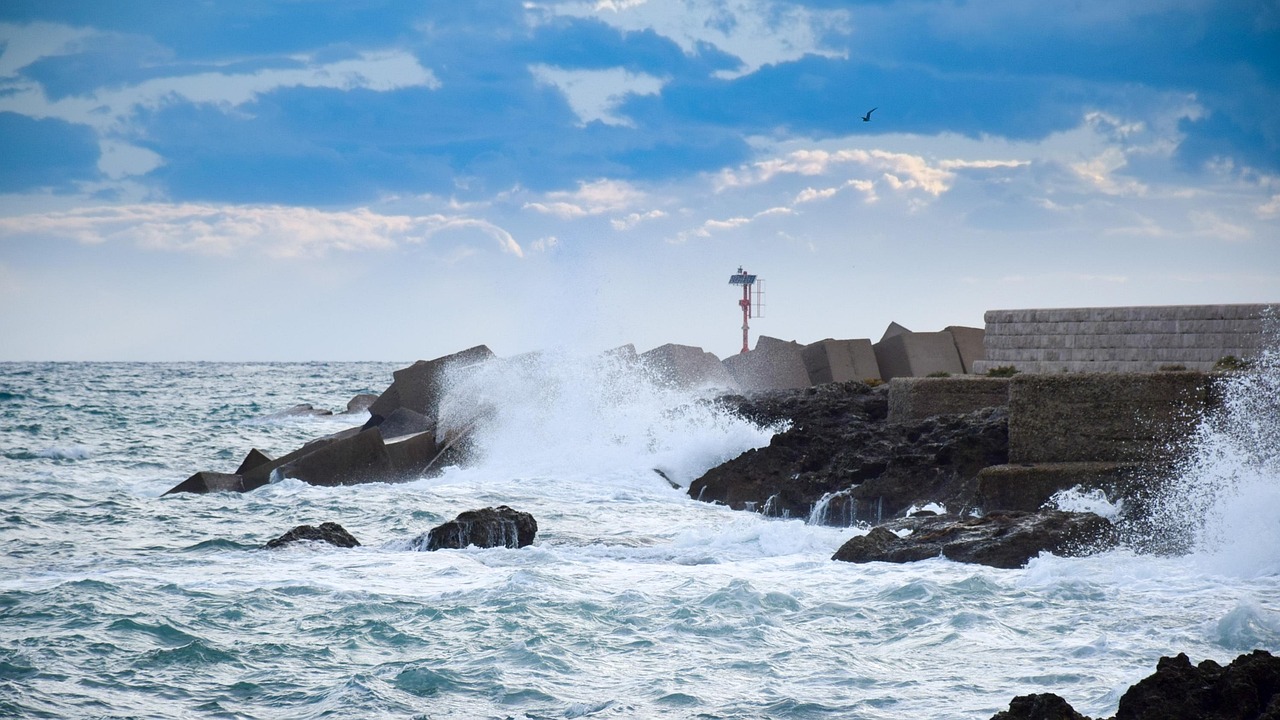 成安大樹灣最新發(fā)展動(dòng)態(tài)及未來展望