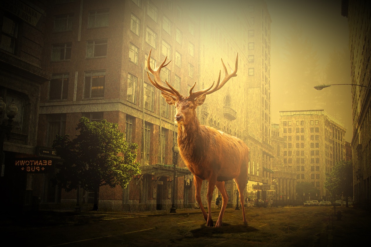 陸擎深喬以沫最新動態(tài)揭秘，成長與變遷的探尋之路