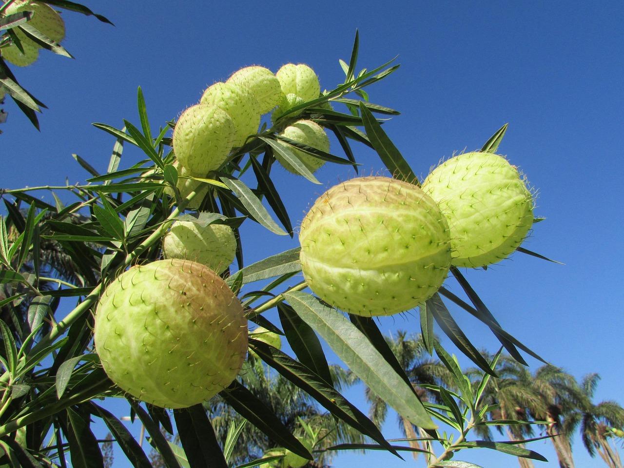 花開了達順啊，演員的魅力與故事探索