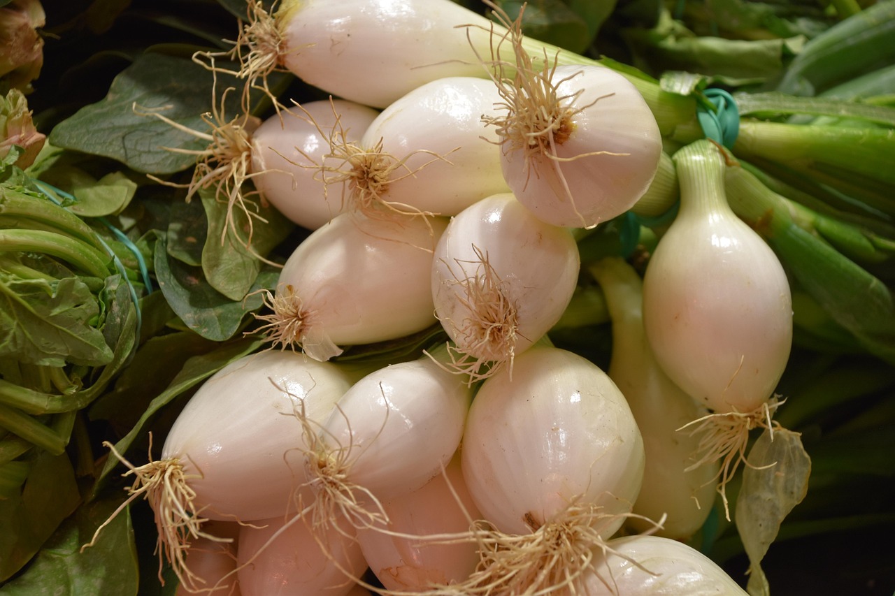 今日洋蔥價格行情及分析，最新市場動態(tài)概覽