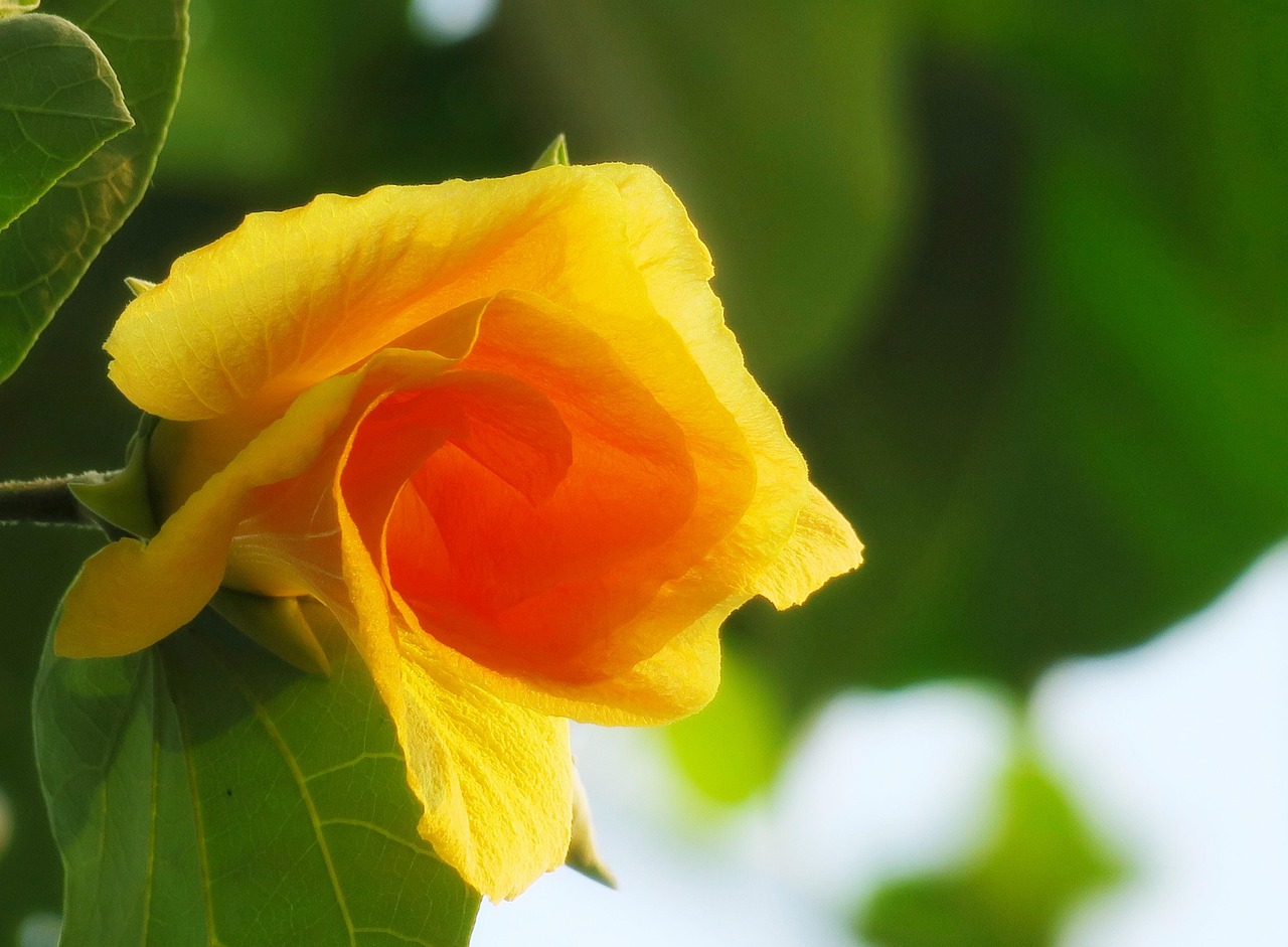 沈陽振興銀行最新動(dòng)態(tài)，創(chuàng)新前行，攜手共建美好未來