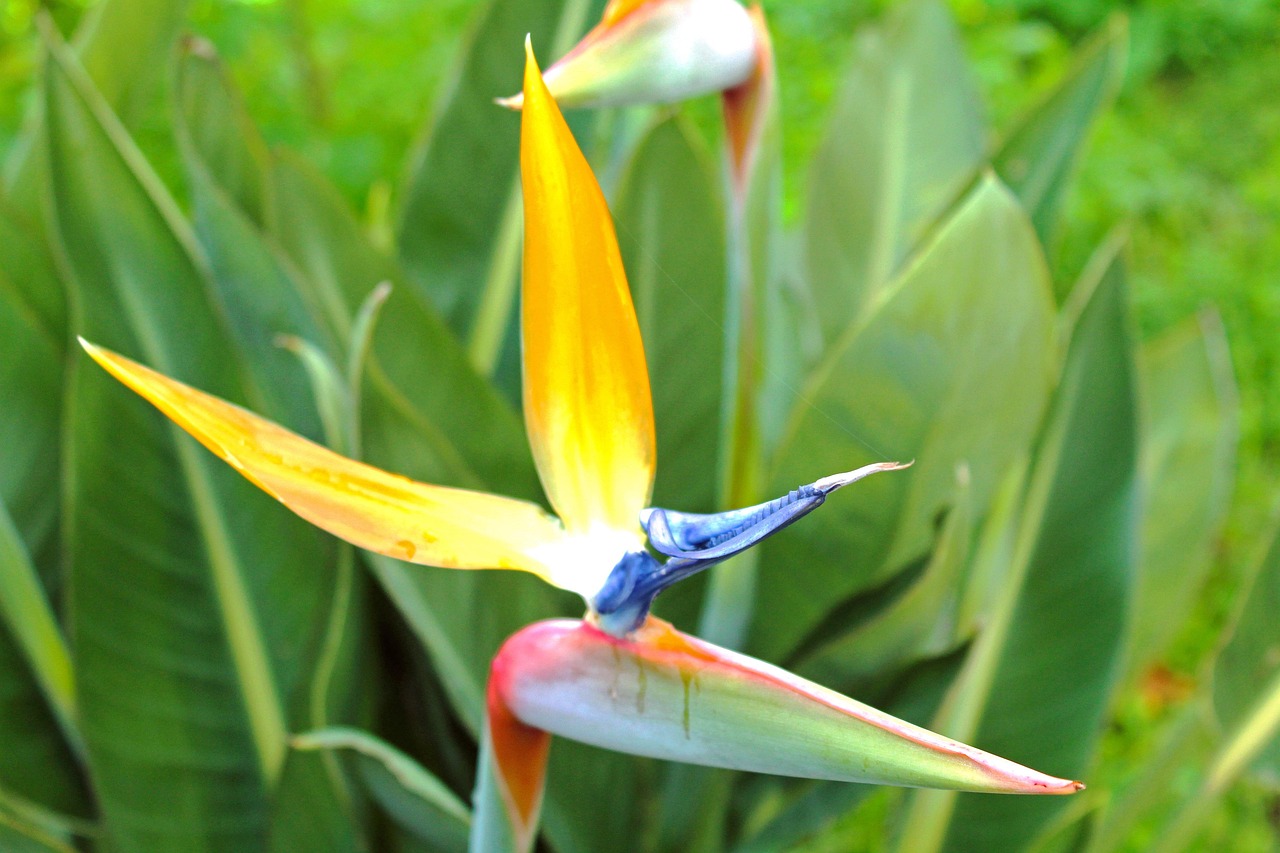 海螺水泥最新報(bào)價(jià)與市場(chǎng)動(dòng)態(tài)分析概覽