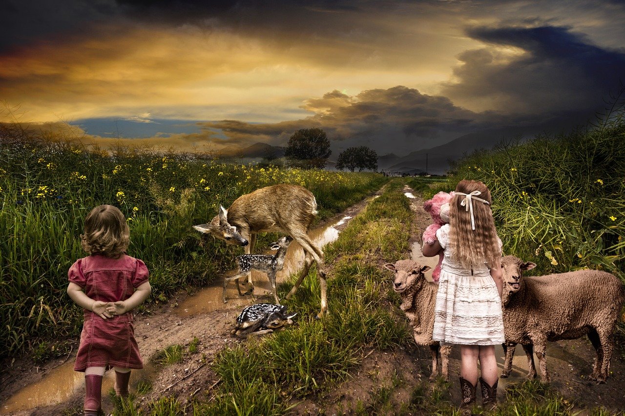 2025年2月 第62頁