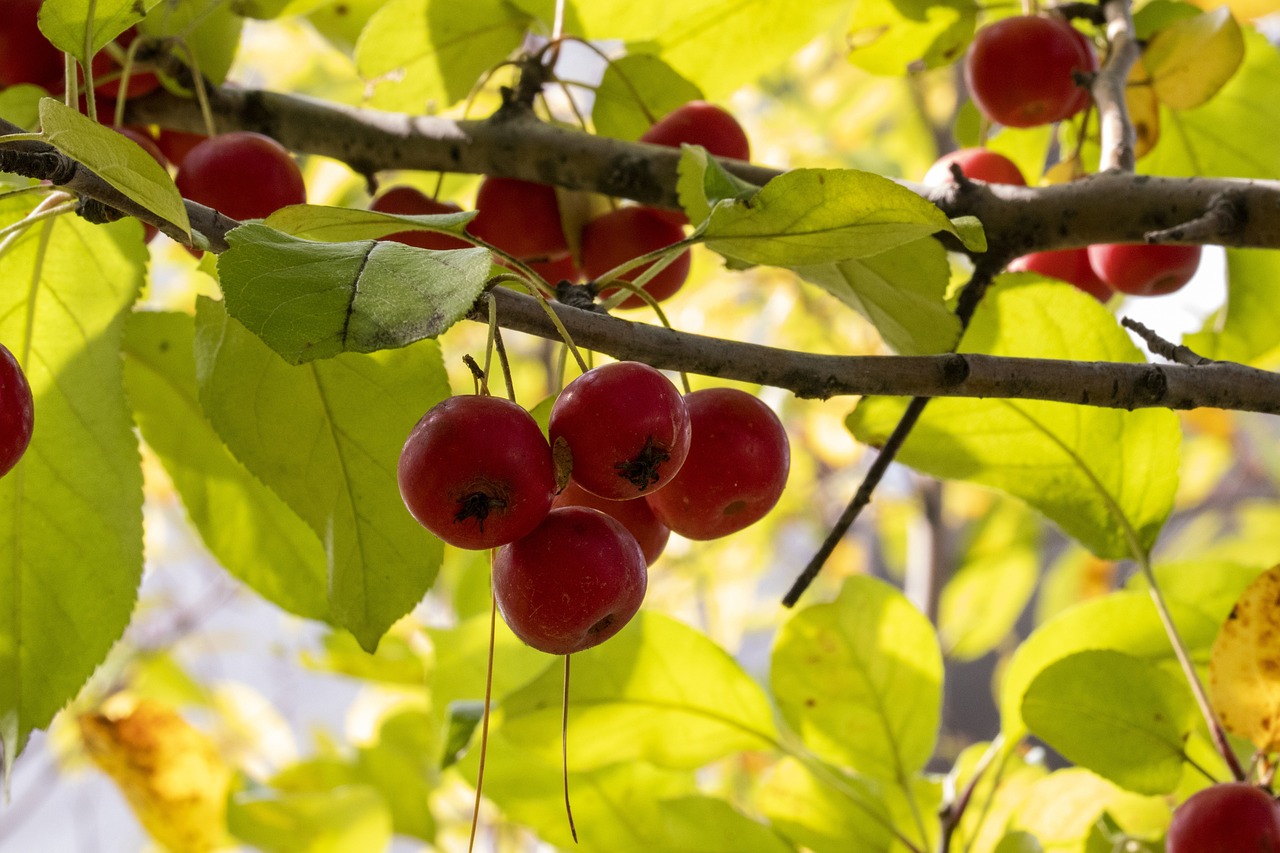 易乾財富最新動態(tài)，劉丹引領新篇章