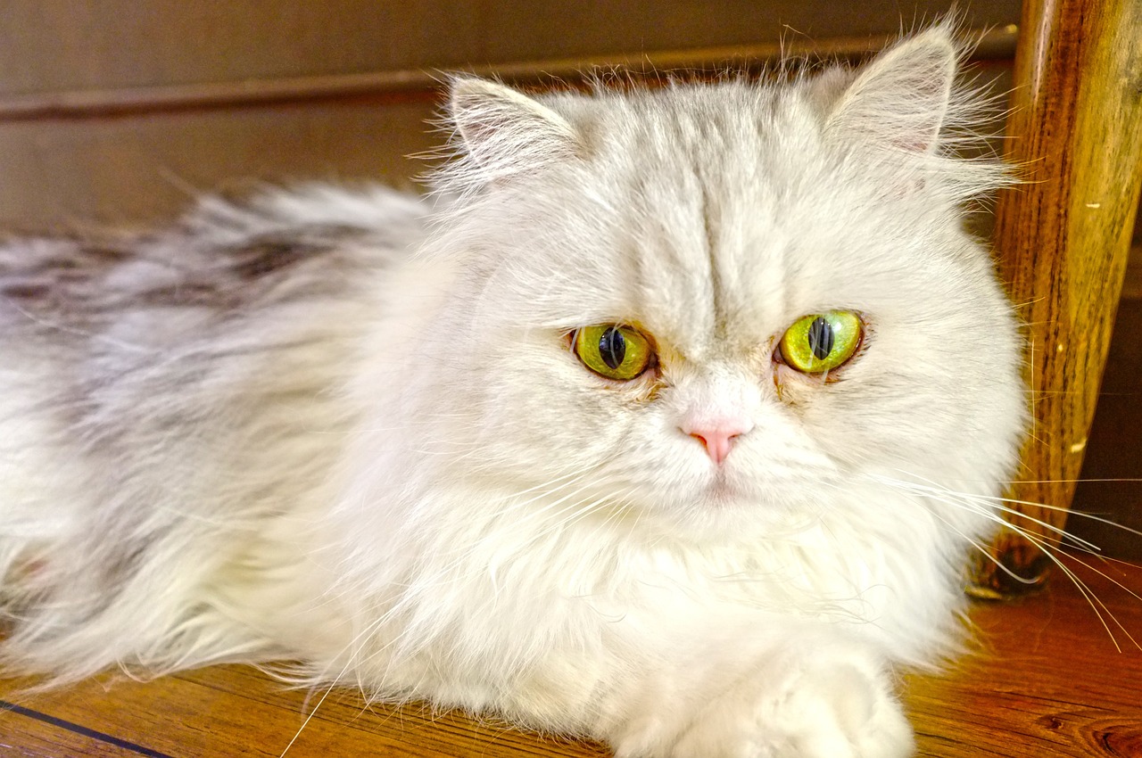 割雙眼皮價(jià)格表詳解，影響價(jià)格因素全解析