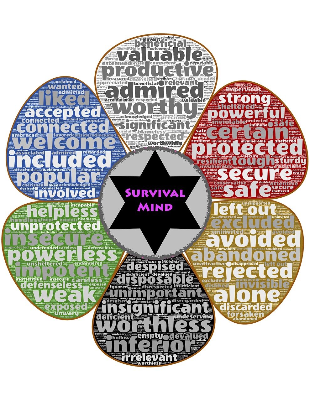 滇紅茶價格深度解析，影響因素探討與最新市場動態(tài)