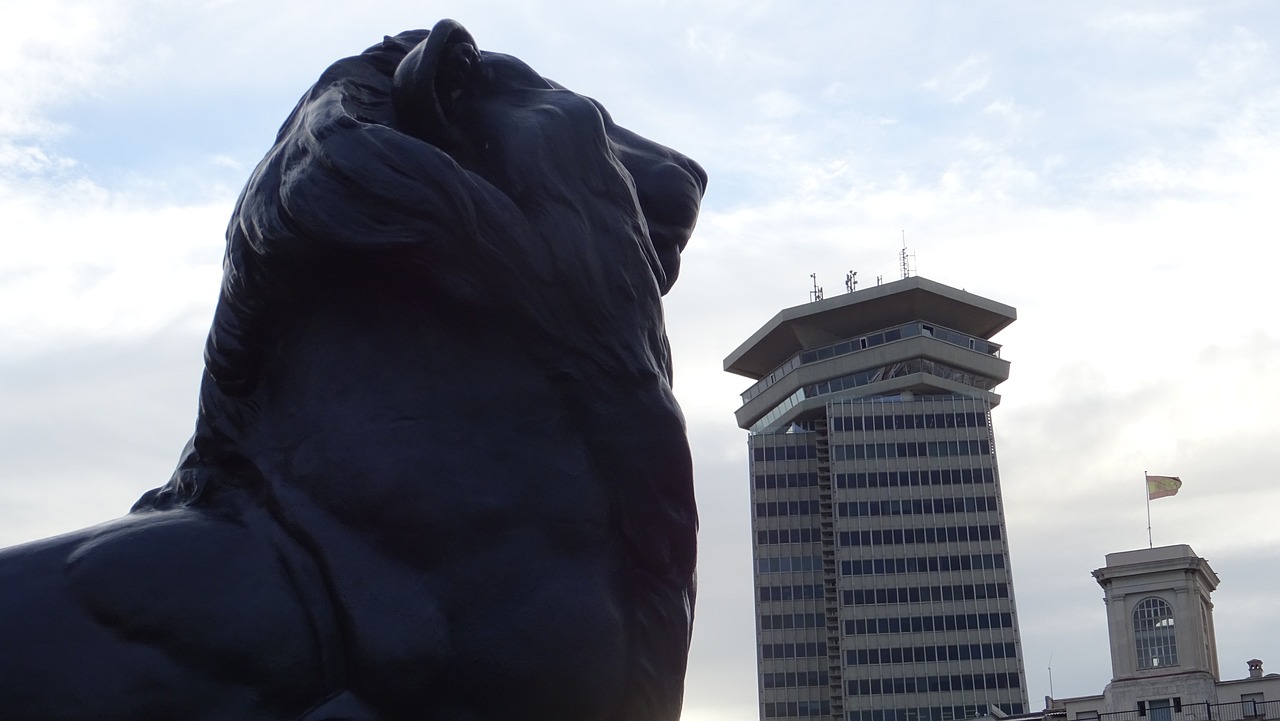 樂至最新資訊，探索城市新動(dòng)態(tài)與發(fā)展